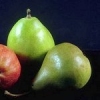 Frutteto Pyrus communis