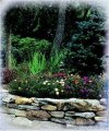 Speciali Progetto piante giardino roccioso