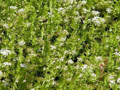 Photos  - 