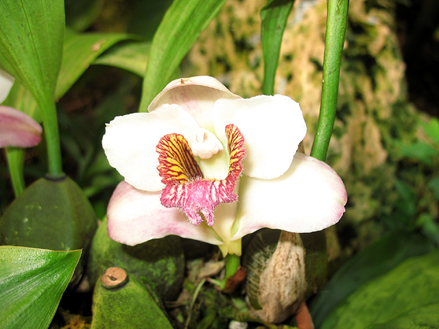Photos  - 