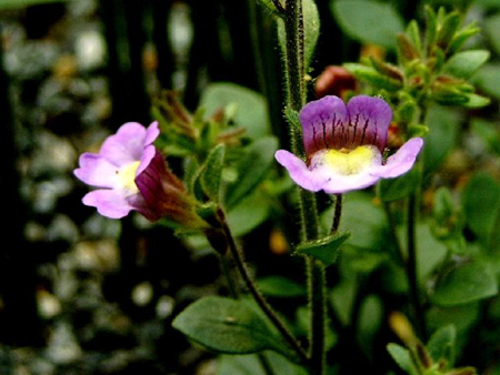 Photos  - 