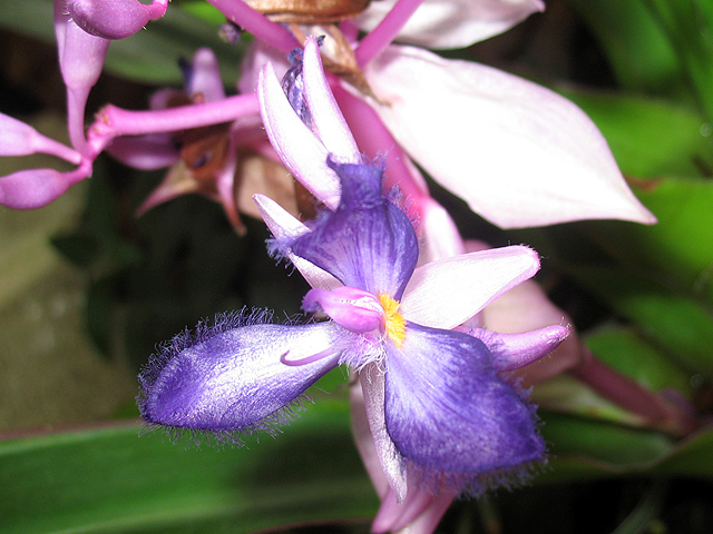 Photos  - 