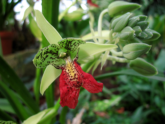 Photos  - 