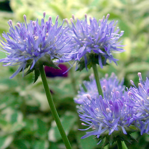 Photos  - 