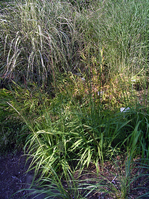 Photos  - 
