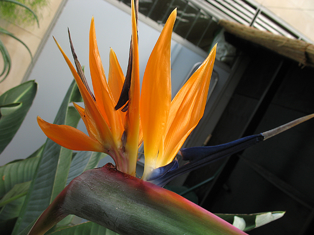 Photos  - 