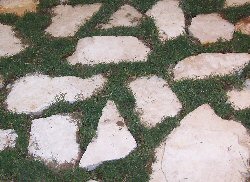 Speciali Vialetto